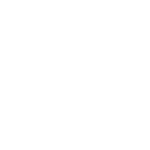 Capacidade para Grandes Projetos